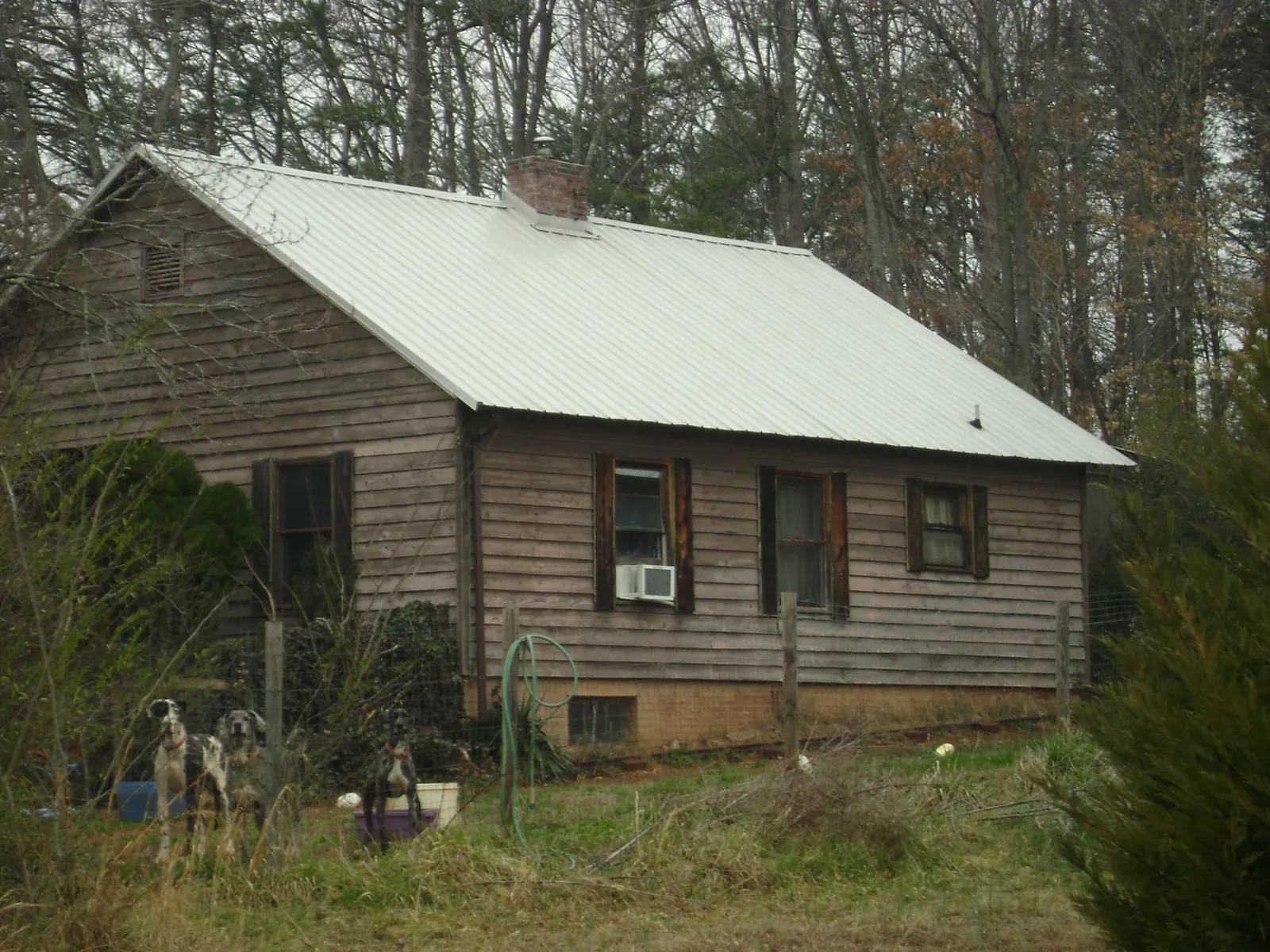 White metal roof on an old wood sided farmhouse, from a Asphalt Shingle Roof Repair job in Minster
